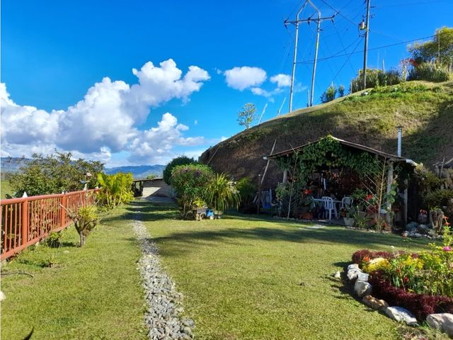 place photo 41