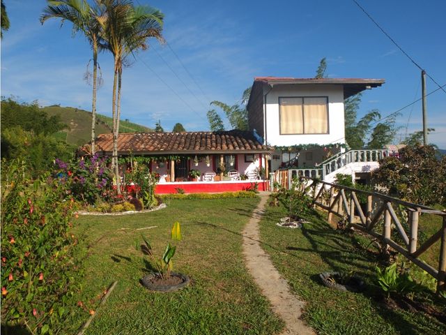 place photo 38