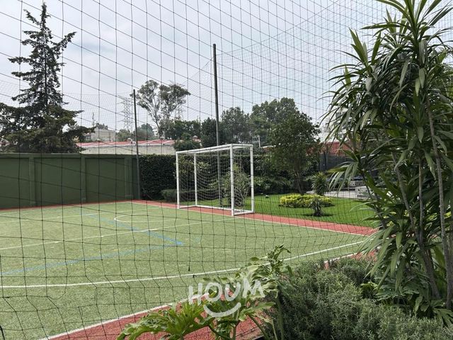place photo 48