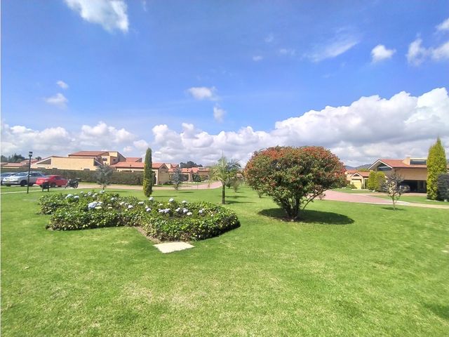 place photo 51