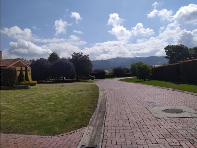 place photo 44