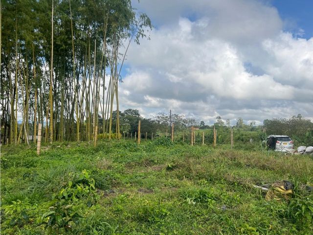 place photo 56