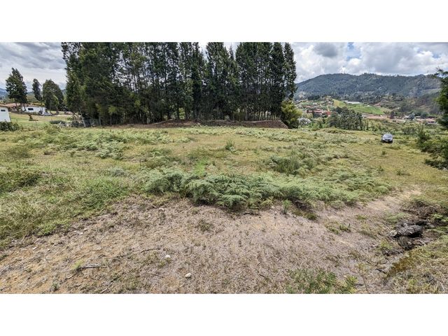 place photo 49