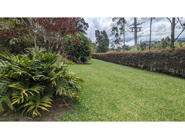 place photo 71