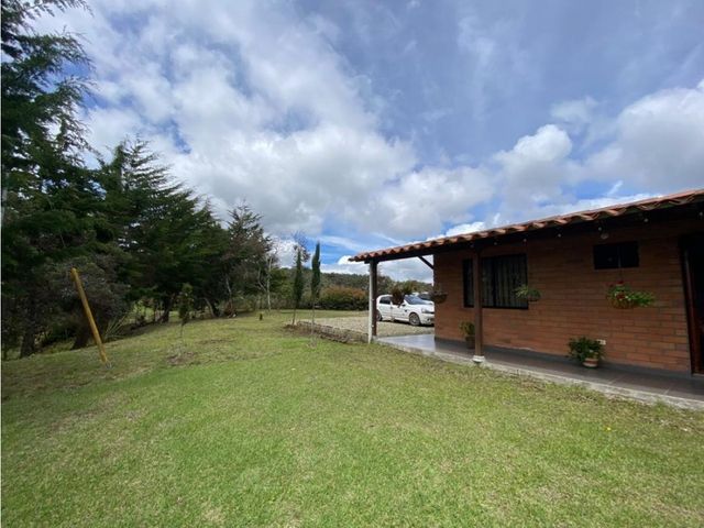 place photo 43