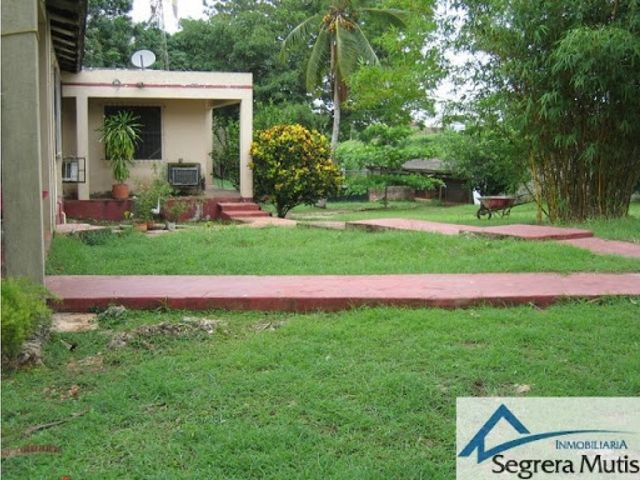 place photo 24