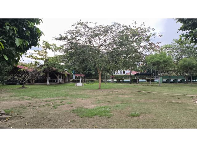 place photo 24