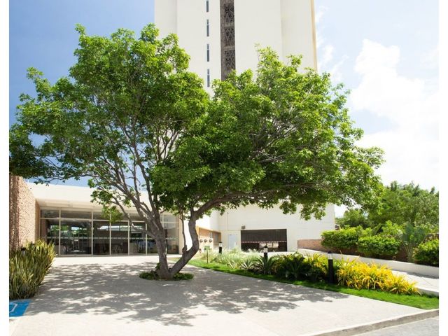 place photo 46