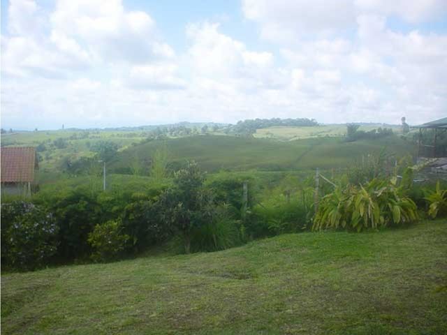 place photo 35