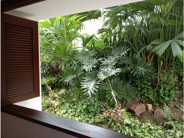 place photo 62