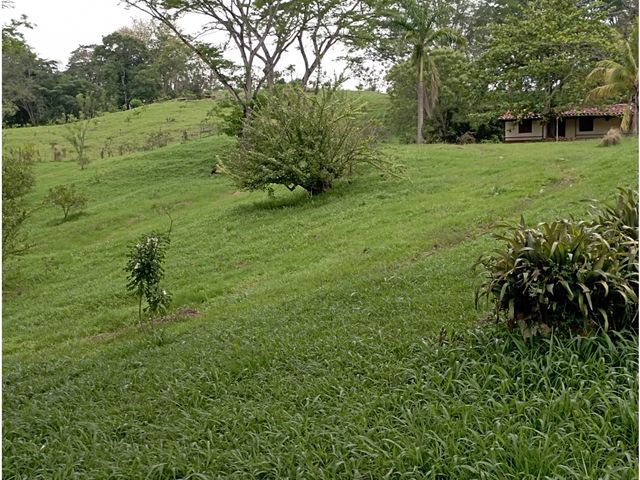 place photo 52
