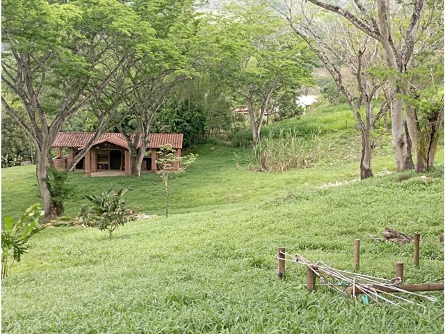 place photo 64