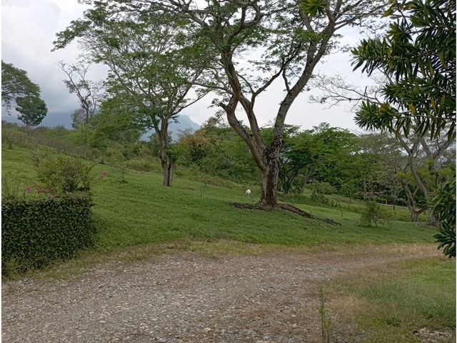 place photo 66