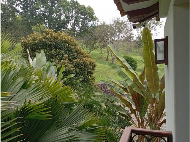 place photo 63