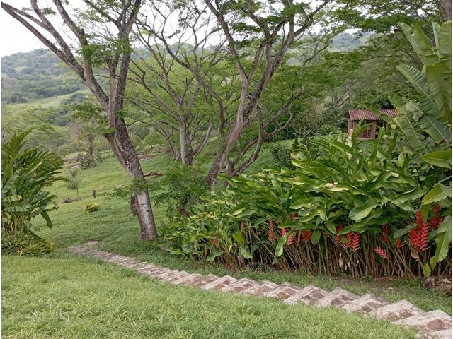 place photo 65