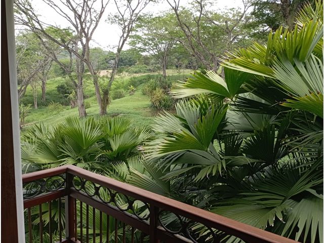 place photo 51