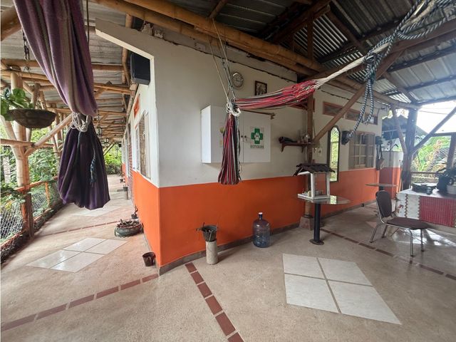 place photo 39
