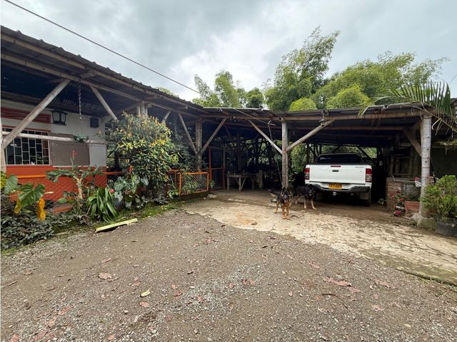 place photo 36