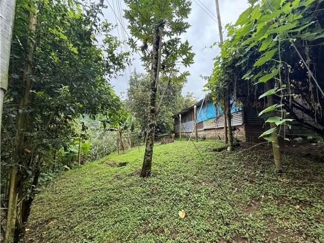 place photo 57