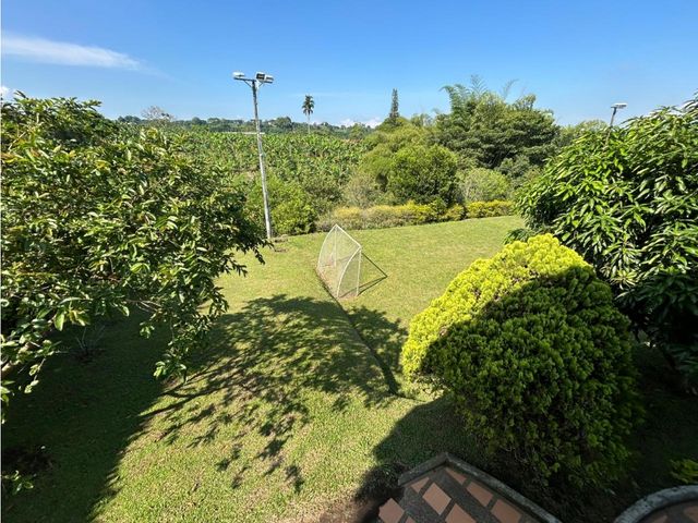 place photo 45