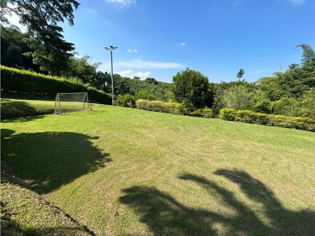 place photo 44