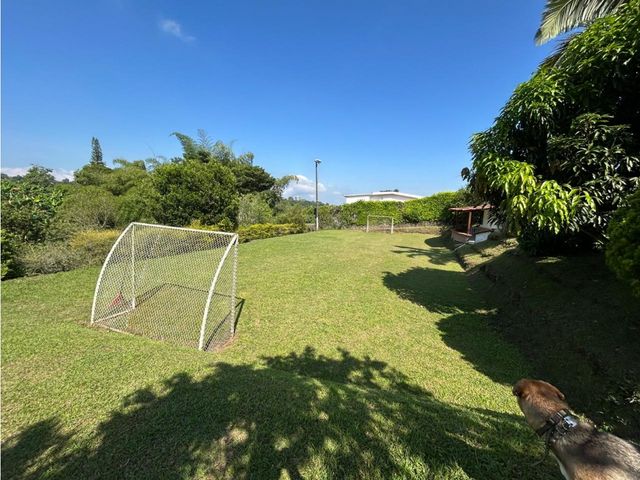 place photo 40