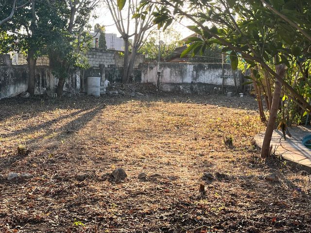 place photo 29