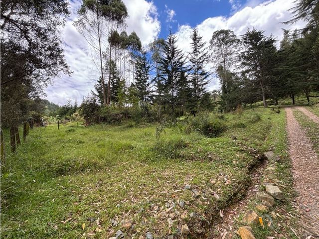 place photo 49