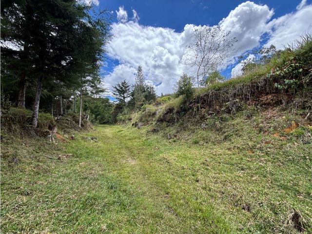 place photo 45