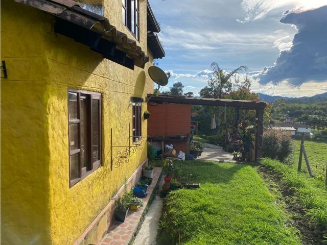 place photo 39