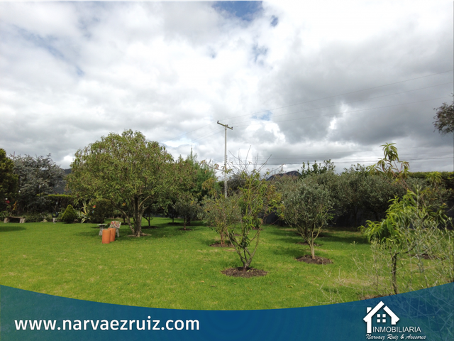 place photo 46
