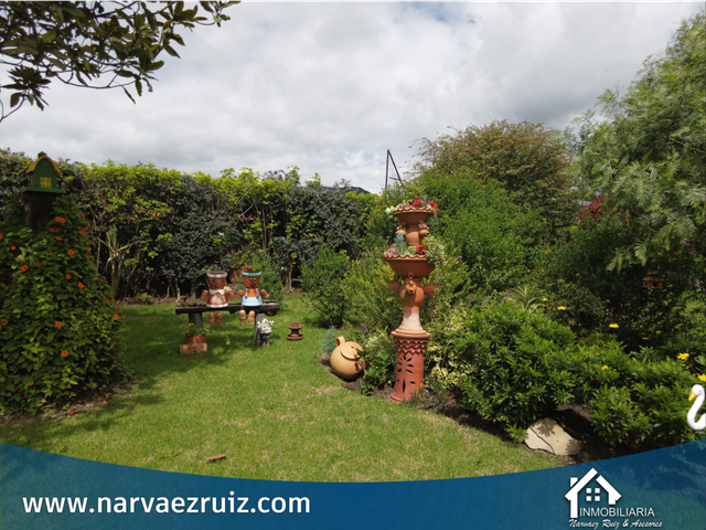 place photo 45