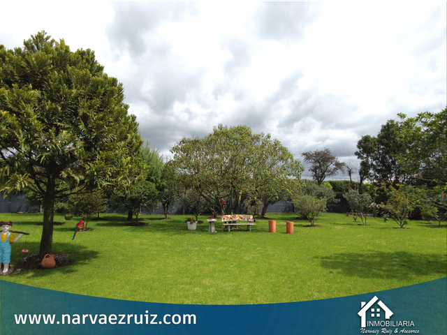 place photo 44