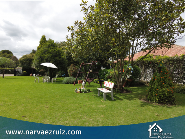 place photo 43