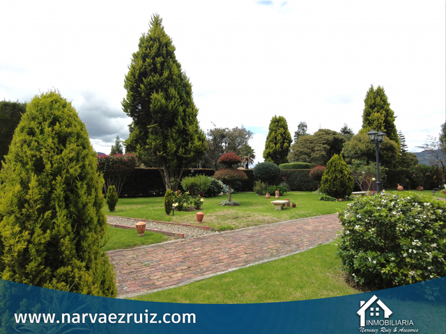 place photo 47