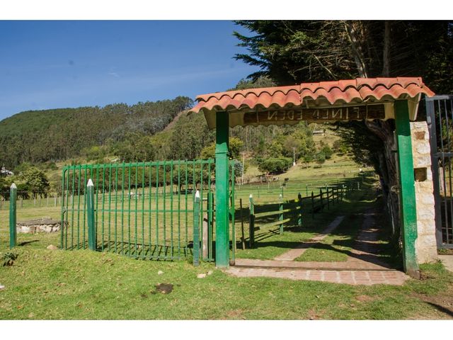 place photo 33
