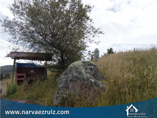 place photo 35