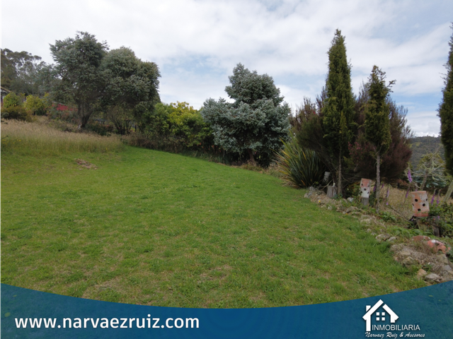 place photo 38