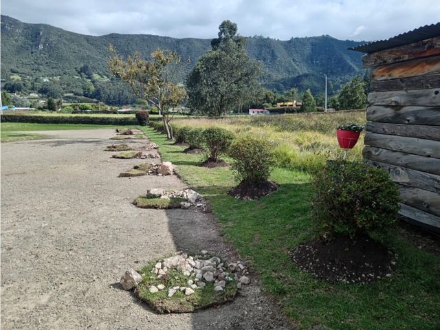 place photo 32
