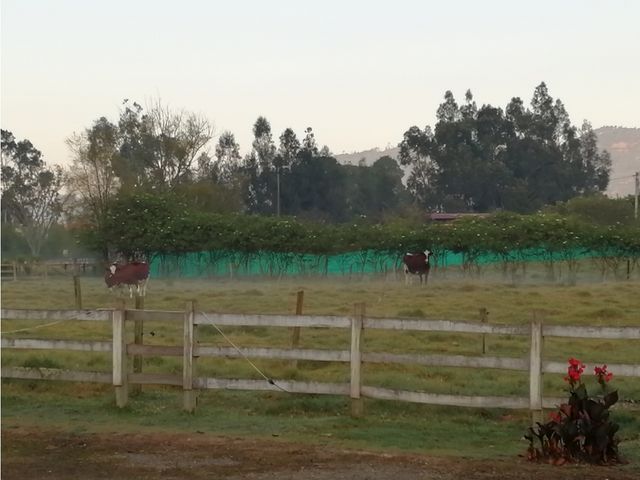 place photo 34