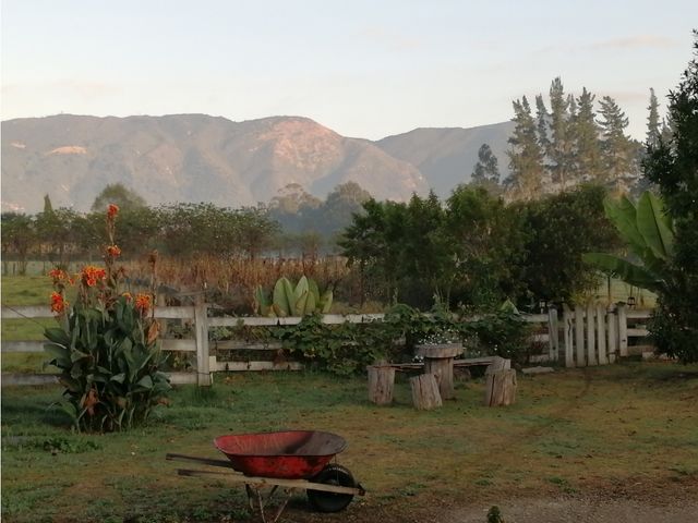 place photo 35