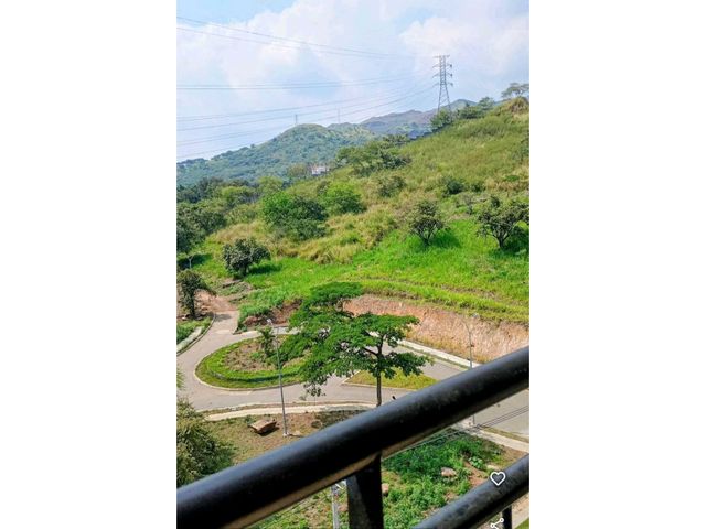 place photo 38