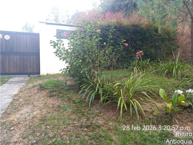 place photo 39