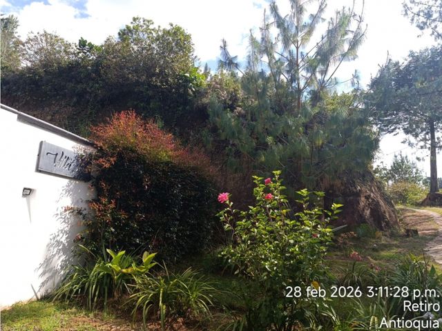 place photo 46