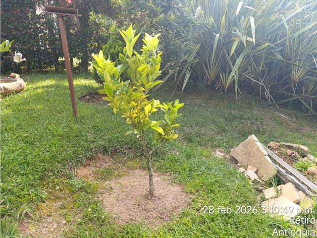 place photo 37