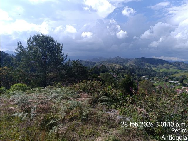 place photo 43