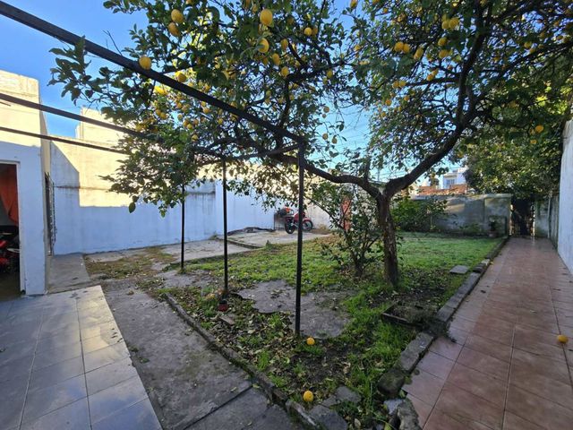 place photo 22