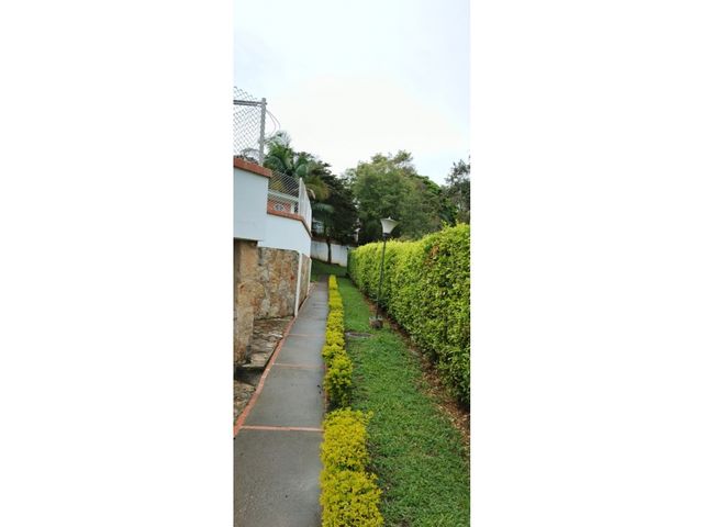 place photo 43