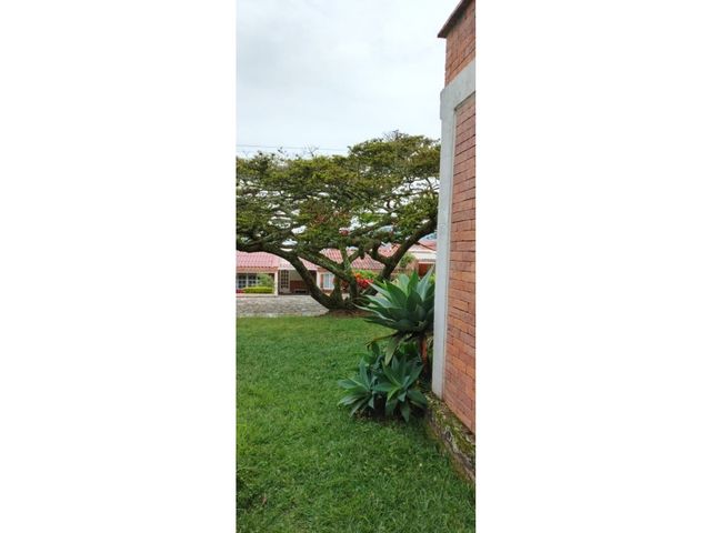 place photo 77
