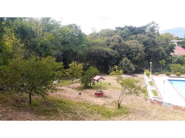 place photo 39